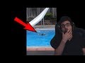Ducks Going Ham In My Pool Caught On Video Story Time