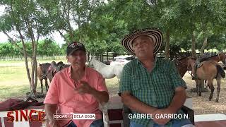 Toros de Gabriel Garrido para las corralejas en Since 2023