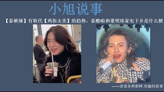 【泰裤辣】有取代【鸡你太美】的趋势，泰酷啦和董明珠家电下乡是什么梗