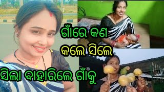 ସିଲା ବାହାରିଲେ ଗାଁକୁ /ଘରେ ପହଁଚିଲା ପରେ କଣ କଲେ ସିଲା /odia vlog chintusila