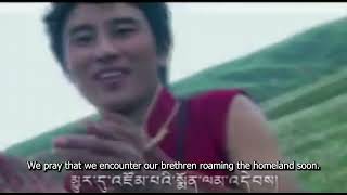 Reunion (མཉམ་འཛོམ།) by Gegye Pema (དགེ་རྒྱས་པདྨ།)