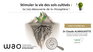 WAO n°2 : Stimuler la vie des sols cultivés : la (re)-découverte de la rhizosphère