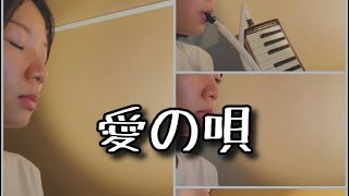 (cover)愛の唄/オフコース