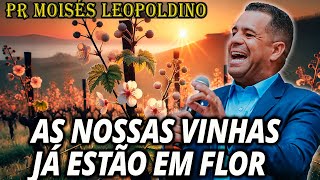 Pr Moisés Leopoldino: AS NOSSAS VINHAS JÁ ESTÃO EM FLOR - Pregação Forte!!