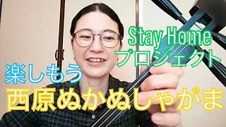 ハイタイ宮里ゆみです。三線楽しみましょう　Stay Homeお稽古動画プロジェクト【西原のかぬしゃがま】　首都圏のテイクアウト沖縄料理店マップ付き