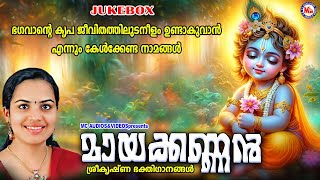 ഭഗവാന്‍റെ കൃപ ജീവിതത്തിലുടനീളം ഉണ്ടാകുവാൻ എന്നും കേൾക്കേണ്ട നാമങ്ങൾ | Sree Krishna Songs Malayalam