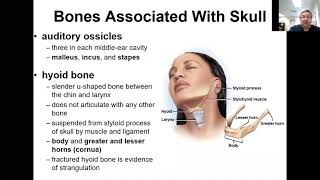 Introduction to PTA Review 9_1 -    Bones / Muscles Correlation