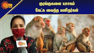 கொடைக்கானலில் உணவுக்காக அலையும் குரங்குகள்! | Monkeys | Sun News