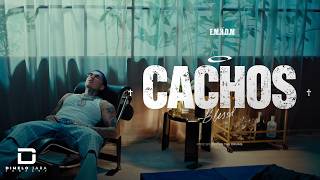 π CACHOS | BLESSD ( E.M.H.D.M )
