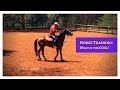 The Goal of Horse Training