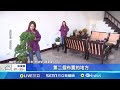 綠植擺客廳添活力