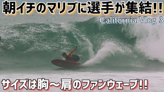 世界の美少女ロガー達がゲスト出演🎉Malibu Day3 California Vlog 3🇺🇸 Cute girl loggers from around the world showed up!