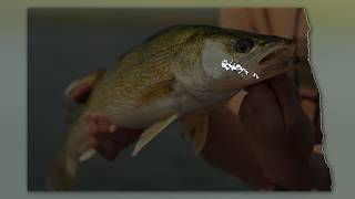 Fishing Preview 2026 - Devils Lake Complex/Red River - NDGF - 03-26-2026