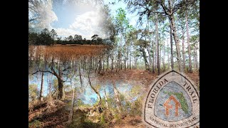 Top Florida Trail Hikes | Croom Tract in Withlacoochee State Forest (Part One)