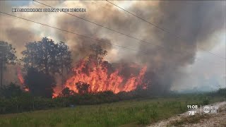 125-acre brush fire in Hillsborough County contained, officials say