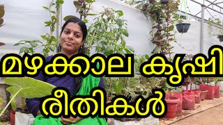 മഴക്കാല കൃഷി രീതികൾ|   MONSOON SEASON FARM TIPS