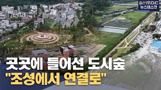 곳곳에 들어선 도시숲‥ \