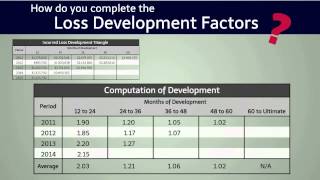 RISK66® Loss Development Triangles