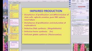 Medical School Pathology, 2013 Season, Session #50: RBC-I