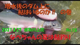 【鮎釣り】なべちゃんの夏は鮎釣り　増水後のダム上に鮎はいるのか～の巻　No.15　2021.8 27 　板取川上流