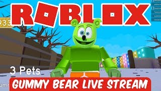 Roblox Live Stream Now 2018 Gummy Bear Gummy Memes - 