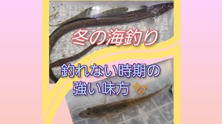 千葉で釣り　真冬の内房の港　目指せアナゴの蒲焼♪