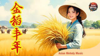 Chinese Song | 金稻丰年 | 稻米成熟季节的欢乐歌 | Asian Melody