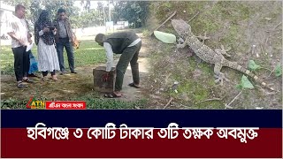 হবিগঞ্জে ৩ কোটি টাকার ৩টি তক্ষক অবমুক্ত | Habiganj | Tokkhok