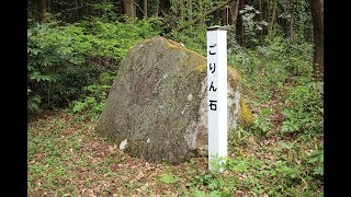 2019年4月21日 角田山 登山 五りん石コース～山の神コース