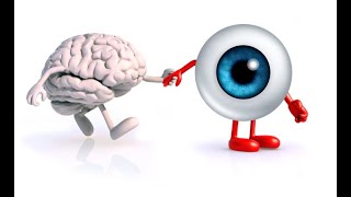 How to generate Report of Iris Analysis | Demo Video | Tutorial Video