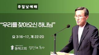 동해장로교회 2024년 12월 1일 주일 낮 2부예배