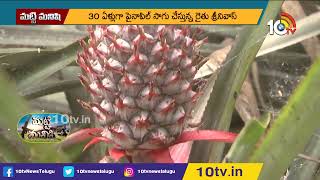 కొబ్బరిలో అంతర పంటగా పైనాపిల్ సాగు | Cultivation Of Pineapple In Coconut  | Matti Manishi | 10TV