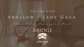 Bridge Strings - Shallow - Lady Gaga - A Star Is Born - Recorded at Eastington Park