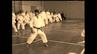 Mae geri training with Sadashige Kato