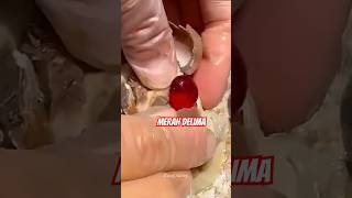 BATU MERAH DELIMA DARI DALAM KEONG, REAL OR FAKE ?