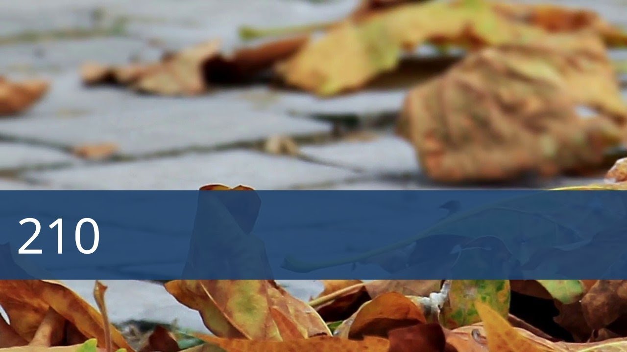 210 Youtube