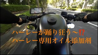 ハーレーが踊り狂う〜　ハーレー専用オイル添加剤　#xl883n  #エンジンオイル交換　#バイクメンテナンス　#モトブログ　#xl883アイアン