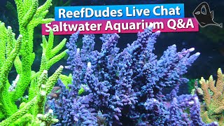 ReefDudes Saltwater Aquarium Q&A