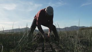 Strijd om het veen in Ierland: waardevol als CO2-opslag, maar ook voor turf