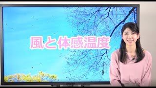 風と体感温度