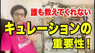 最近よく聞くキュレーターって何？！アート展に重要な本質を徹底解説！