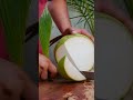 fantastic coconut slicing