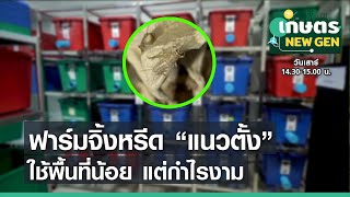 ฟาร์มจิ้งหรีดแนวตั้ง ใช้พื้นที่น้อยแต่กำไรงาม | เกษตร NEW GEN