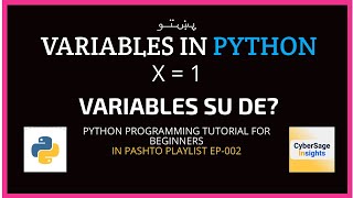 Python Variables Tutorial | Understanding the Basics of Python Programming in Pashto