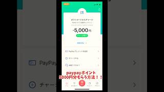 🎁Temuで5000円分のpaypayポイントゲット？！ #paypay #ポイ活#shorts #無料 #shortsvideo