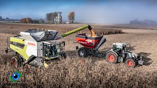 NEW CLAAS Lexion 8900 🌽 / Moisson de maïs dans le brouillard / X2 Transbordeurs