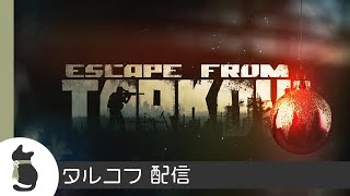 EFT / タルコフ 参加型で初心者を全力で支援する配信【ネコ会】