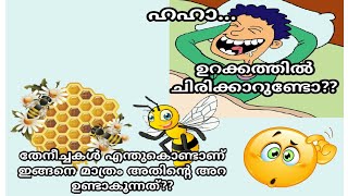 ഇത്ര കാലമായിട്ടും ഈ സംശയങ്ങൾക്കുള്ള ഉത്തരം നിങ്ങൾക്ക് അറിയില്ലെ??  | Svm drawings | Malayalam