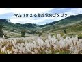 第7126回　今ふりかえる参政党のゴタゴタ　2024.11.29