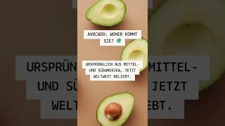 Die spannende Reise der Avocado um die Welt!